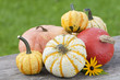 Pumpkins - Kürbisse