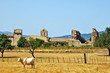 Saint André de Rosans, Francia, rovine dell'abbazia benedettina Saint André de Rosans, Francia, rovine dell'abbazia benedettina