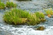 Im Fluss