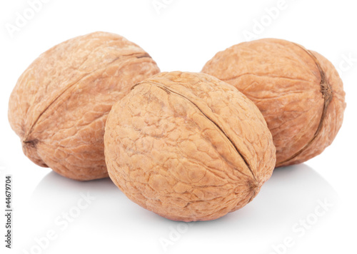 Photo: Three walnuts on white Three walnuts on white