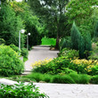 beautiful park