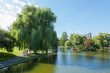 View of the Common park lake in Boston