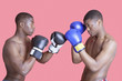 Photo: Side view of two African American boxers in fighting stance over pink background Side view of two African American boxers in fighting stance over pink background