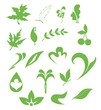 Leaves