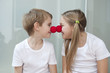 Foto: Happy young siblings in white tshirts rubbing clown noses against each other Happy young siblings in white tshirts rubbing clown noses against each other