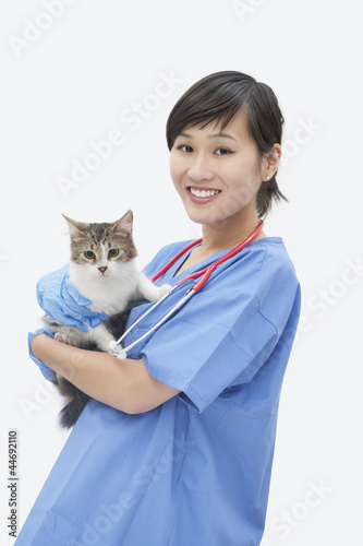 Photo: Portrait of Asian female veterinarian holding cat over gray background Portrait of Asian female veterinarian holding cat over gray background