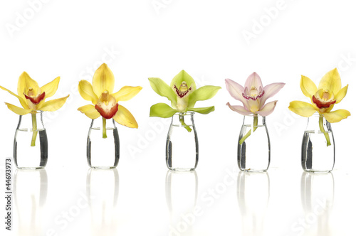 Photo: beauty set of colorful orchids in vase beauty set of colorful orchids in vase