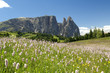 Schlern, Seiser Alm, Dolomiten