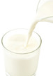 Milk