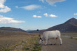ABRUZZO