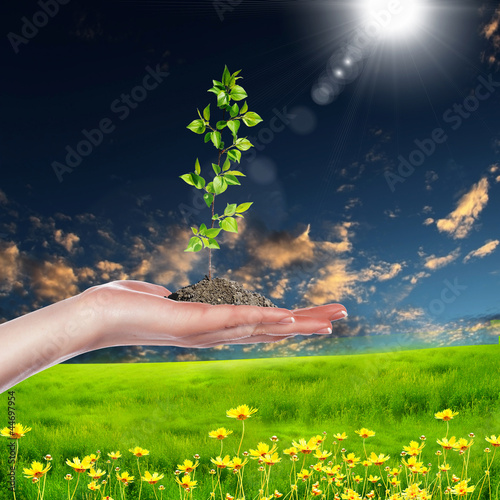 Photo: Hands holding green sprouts Hands holding green sprouts