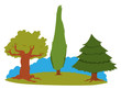 group of trees