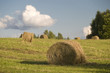 Photo: Field with hay bales Field with hay bales