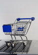 Online einkaufen