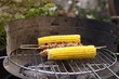 Barbecue with corn and satay