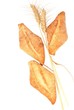 grano e pane
