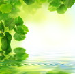 Photo: Naturel Naturel