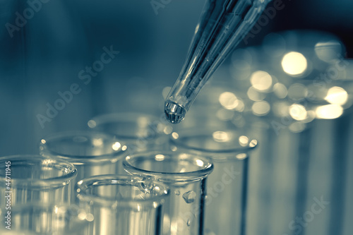 Photo: Pipette adding fluid to one of several test tubes Pipette adding fluid to one of several test tubes