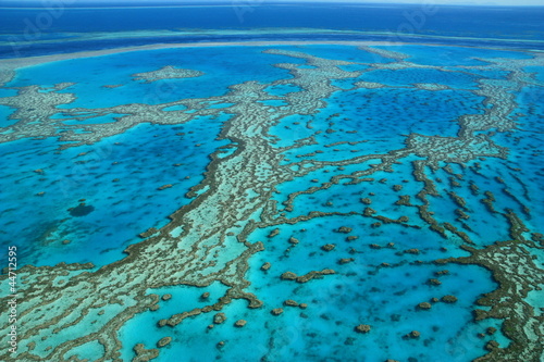 Photo: Grande Barriere de corail, Australie Grande Barriere de corail, Australie