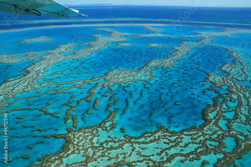 Photo: Grande Barriere de corail, Australie Grande Barriere de corail, Australie