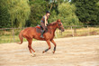cheval et cavalier