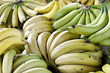 Bananas- Groceries