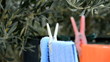 clothesline rack focus