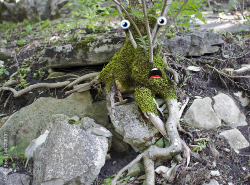 Photo: Surprised tree Surprised tree