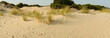 Sardegna, Chia, dune di sabbia di Su Giudeu