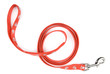 Red nylon dog lead or leash with paw print pattern on white