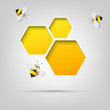 Vektor: honeycomb and the bees honeycomb and the bees