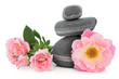 Rose Spa Beauty