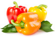Fresh pepper with leaves