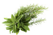 Photo: bunch of sage bunch of sage