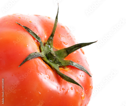Photo: Tomato Tomato