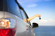 Photo: hand of woman holding car key hand of woman holding car key