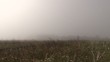 Video: disparaitre dans la brume(vtt) disparaitre dans la brume(vtt)