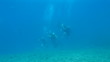 Learning to Scuba Dive