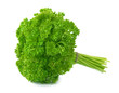 Fresh parsley herb