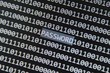 Password
