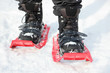 Snowshoes