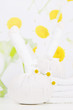 Arrangement Kräutermassage