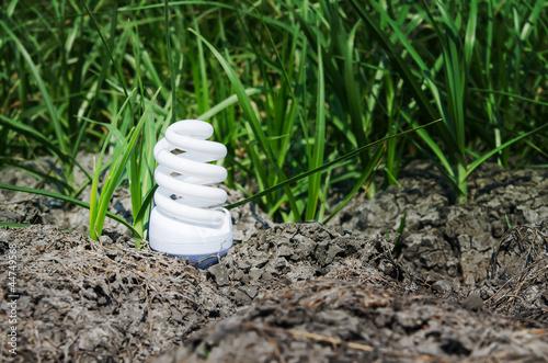 Photo: light bulb between drought land and green grass light bulb between drought land and green grass