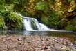 Foto: Wasserfall im Schwarzwald Wasserfall im Schwarzwald