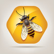 Vector: vector working bee on honeycell vector working bee on honeycell