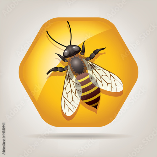 Vector: vector working bee on honeycell vector working bee on honeycell