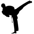 Karate - black silhouette