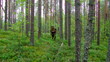 Tourist at forest.man holding compass with two paths ahead