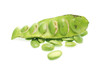 Tropical stinking edible beans on white background (Parkia Speci