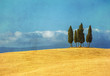 vintage tuscan landscape